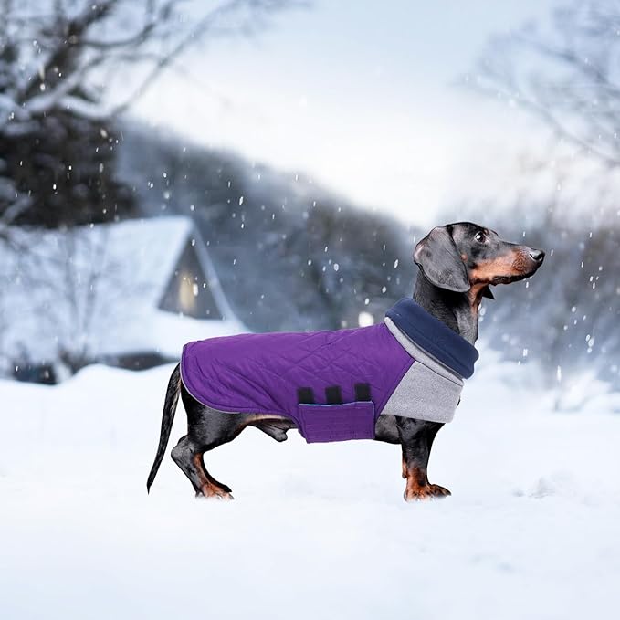 Geyecete Dachshund Coat,Dachshund Winter Coat,Warm Waterproof Windproof, High Neckine String Holes Miniature Dachshund Jacket for Small Dog-Purple-S