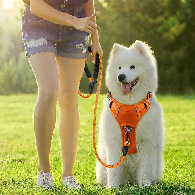 BARKBAY Dog Harness No Pull Oxford with ID Tag Pocket - Heavy Duty, Reflective, Easy Control for Large Dogs(Pumpkin Oxford,L)
