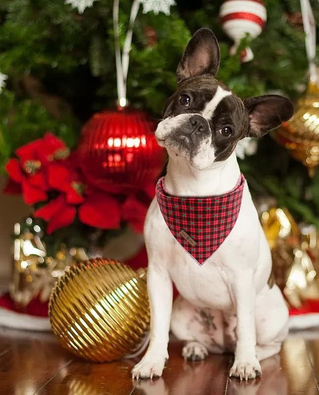 Lionet Paws Christmas Dog Bandana - 1PC Red Tree Dog Bandana, Washable Reversible Cotton Boy Bibs Scarf, Adjustable Square Kerchief for Small to Large Dogs