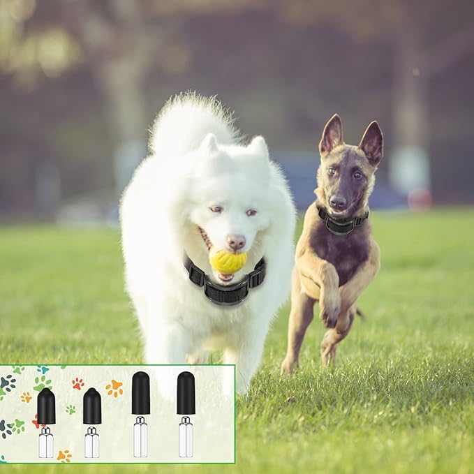Zhengmy 24 Pcs Dog Shock Collar Rubber Tips, Dog Training Prong Collar Cover Replacement, Column Conductive, Rubber Sleeve Silicone Covers Female Contact Points for Pet Stop Barking (13mm/16mm/20mm)