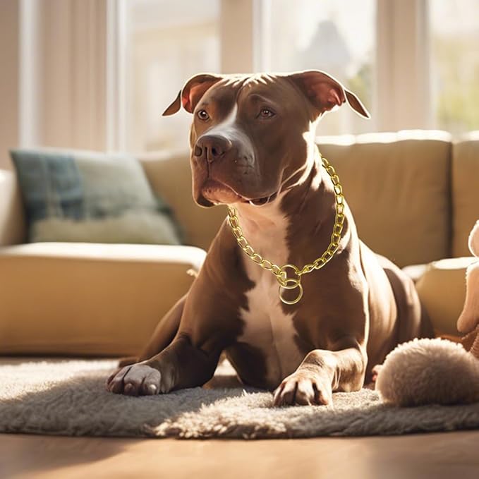 Gold Choker Chain for Dogs Link Training Collar Chain Dog Choke Pet Metal Slip Puppy Martingale Collars for XXS XS Small Medium Large Big XL Breed Dogs M