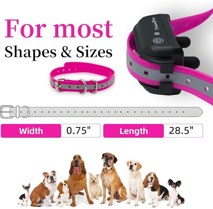 Replacement ¾” Collar Strap Bands with Double Buckle Loop for All Brands of Pet Shock Bark e Collars and Fences.