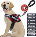 Service Dog Vest Harness and Leash Set, Animire in Training Dog Harness with 10 Dog Patches, Reflective Dog Leash with Soft Padded Handle for Small, Medium, Large, and Extra-Large Dogs (RED,L)