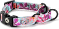 Wolfgang Heavy Duty Martingale Dog Collar with Quick Release Nylon Buckle for Walking & Training, DigiFloral Print, Small