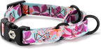 Wolfgang Heavy Duty Martingale Dog Collar with Quick Release Nylon Buckle for Walking & Training, DigiFloral Print, Small