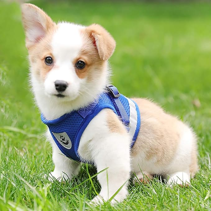 FEimaX Dog Harness and Leash Set for Walking, Soft Mesh Adjustable Easy Control Lightweight Cat Vest Harnesses with Reflective Strips, Escape Proof Small Dogs Cats Vests (Blue, Large)