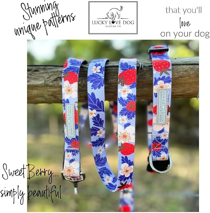Lucky Love Dog Martingale Collar and Leash Set, Premium Fun Girl No Slip Collars, Strawberry Martingale Dog Collar and Leash Set, Great for Whippets, Greyhounds, and More (Sweet Berry, Small - Combo)