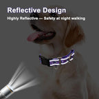 Reflective Martingale Collar for Dogs with Quick Release Buckle Cute No Pull Training Dog Collars (Purple Polka Dot, Large)