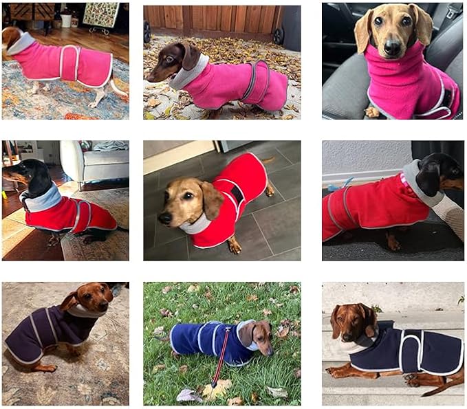 Geyecete Dachshund Sweater - Padded Fleece Lining Dog Jacket, Dachshund Coat - Green, XS