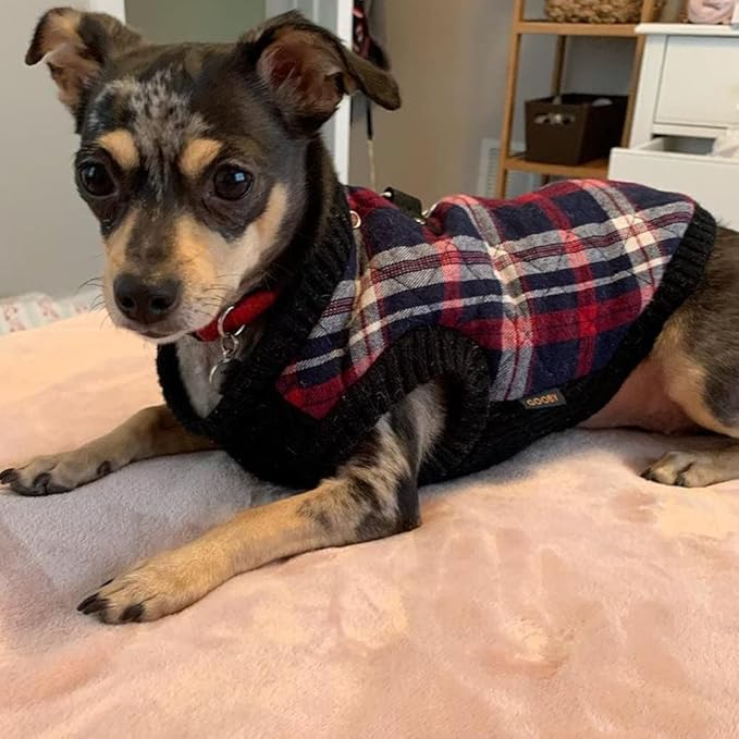 Gooby Fashion Vest Check Dog Jacket - White Check, X-Small - Warm Zip Up Bomber Vest Dual D Ring Leash - Winter Water Resistant Small Dog Sweater
