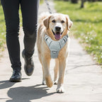 BARKBAY No Pull Dog Harness Large Reflective Dog Harness with Front Clip and Easy Control Handle for Walking Training Running with ID tag Pocket(Grey,M)