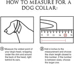 Dog Chain Collar 18K Gold High Polished Stainless Steel Cuban Link Strong Heavy Duty Chew Proof Walking Training Chain Leash Collar for Small Dogs(12mm, 14")