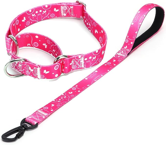 Martingale Collar and Leash Set, Premium No Slip Martingale Collar for Dogs Medium Large, Girl Dog Collars Training (NO2, M)