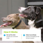 Premier Pet Dog Shock Collar - Safe Behavior Training - 1000ft Long Range Training Shock Collar with Remote - Waterproof Rechargeable Design - 3 Modes - 16 Levels of Static Stimulation