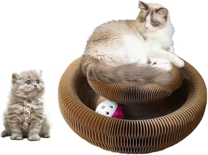 Kitty kurlz Magic Organ Cat Scratcher Board Cat Ball Adventure The Ultimate Interactive Mental Physical Exercise for Indoor Cats Toy