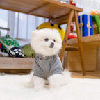 KOOLTAIL Dog Hoodie for Small Medium Dogs Cats, Soft and Warm Pet Sweater with Leash Hole and Pocket Boy Girl, Puppy Fall Winter Jacket Clothes, French Pitbull Cold Weather Coat Sweatshirt, Grey XS