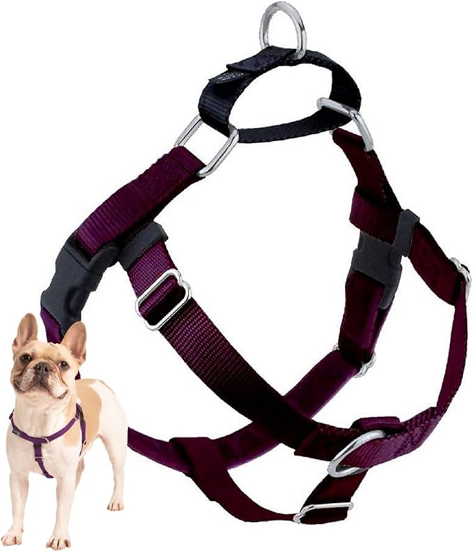 2 Hounds Design Freedom No Pull Dog Harness, Adjustable Harness, Easy Walking & Comfortable Control, Fits Small, Medium & Large Dogs, Solid Colors, Made in USA, 1" MD, Burgundy