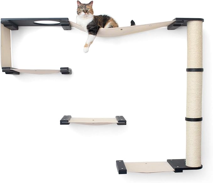 CatastrophiCreations Climb - Multiple-Level Cat Hammock & Climbing Activity Center Wall-Mounted Cat Tree Shelves