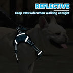 PUPTECK No Pull Dog Harness Small Sized Dog, Adjustable Reflective Escape Proof Easy Control, Comfortable Soft Padded Step in Pet Vest Harness, Blue, XS