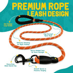 No Pull Dog Harness and Leash Set for Small Dogs – Adjustable Reflective Breathable Soft Padded Easy Control Dog Harness for Training & Walking, Orange (Small)