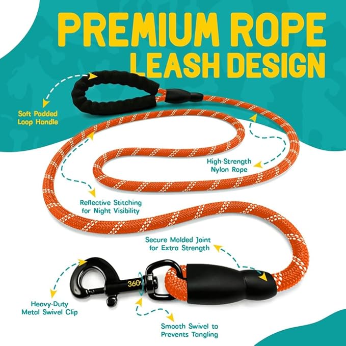 No Pull Dog Harness and Leash Set for Small Dogs – Adjustable Reflective Breathable Soft Padded Easy Control Dog Harness for Training & Walking, Orange (Small)