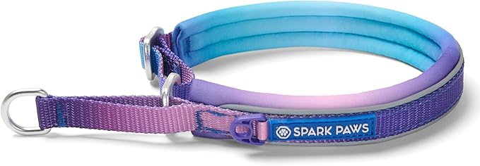 Spark Paws Martingale Dog Collar – Cushioned Slip-On Training Collar, Heavy Duty, Safety-Tested No-Buckle Collar for Medium & Large Dogs - 90s Retro - A