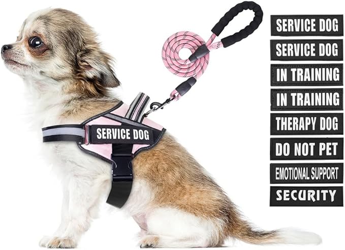 Service Dog Vest Harness and Leash Set, Animire in Training Dog Harness with 10 Dog Patches, Reflective Dog Leash with Soft Padded Handle for Small, Medium, Large, and Extra-Large Dogs (Pink,XS)