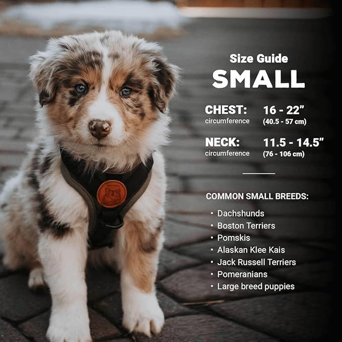 Wilderdog Lightweight Dog Harness with Reflective Straps - Small - Sienna