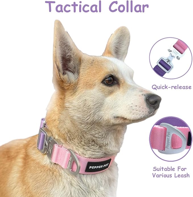 Heavy Duty Tactical Dog Collar,Metal Buckle Quick Release Collar for Large Dogs,1700 LB Strength Tested,Dual Color Nylon Collar for Walking,Training & Hunting