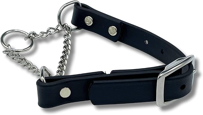 Martingale Collar for Dogs, Biothane, Stainless Steel Hardware, No Pull, Made in The USA, Professional Grade, XXL, Black