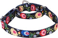Serijoars Adjustable Martingale Dog Collar Heavy Duty Nylon Dog Collar for Medium Large Dogs Walking Training Boy and Girl Dogs (M, Black)