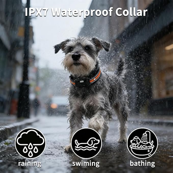 Dog Training Collar for 2 Dogs (10-120Lbs),Training Collar for Dogs Dog Training Collar with Remote 3300FT Rechargeable E Collars for Large Medium Small Dogs with Flashlight, 4 Training Modes