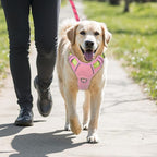 BARKBAY No Pull Dog Harness Large Reflective Dog Harness with Front Clip and Easy Control Handle for Walking Training Running with ID tag Pocket(Baby Pink & Sunlight,M)
