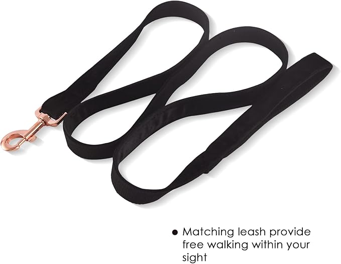 Bubblepup Velvet Dog Collar and Leash Set, Dog Collars for Small Medium Large Dogs Leash for Training & Walking