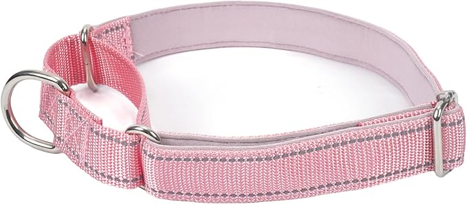 SGODA Martingale Dog Collar, Reflective Nylon Padded Dog Training Collars for Small Dogs, Pink S