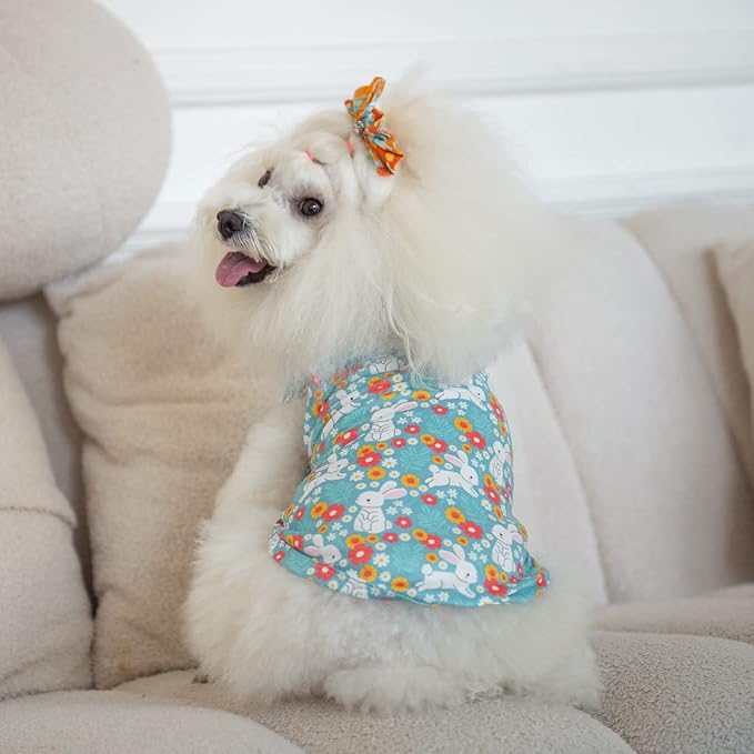 CuteBone Dog Shirts 2-Pack St.Patrick's Day & Easter Soft Pet Clothes Breathable Summer Vest for Small Puppy and Stretchy Cat Apparel 2BX12L