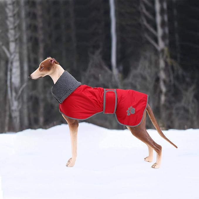 Geyecete Dog Winter Coat Greyhound Raincoat Fabric with Lamb Velvet Inside Outdoor Dog Apparel with Adjustable Bands for Medium, Large Dog-Red-XS