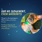 2 Hounds Design Freedom No Pull Dog Harness, Adjustable Harness and Leash Set, Easy Walking & Comfortable Control, Fits Small, Medium & Large Dogs, Solid Colors, Made in USA, 5/8" SM, Star Sprangled