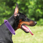 Tactical Dog Collar with Heavy Duty Metal Buckle and Control Handle for Medium Large Dogs Training(Purple, X-Large)
