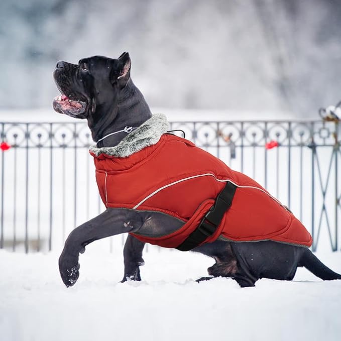 DENTRUN Winter Warm Dog Coat Reflective Jacket with Turtleneck for Cold Weather, Adjustable Buckle Windproof Water Repellent, Thick Snowsuit Fleece Vest for Small, Medium, Large Dogs, Red, L