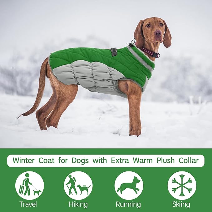 FUAMEY Dog Coat for Medium Dogs,Waterproof Dog Winter Jacket with Harness Built in Puppy Cold Weather Coats Reflective Pet Vest with Zipper Warm Fleece Dogs Snowsuit Windproof Green M