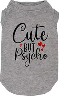 Dog Clothes Puppy T Shirt Vest Soft and Light-Weight for Small Large Dogs with 'Bitches Love ME' Slogan Prining Pet Apparel(X-Small,SG-Grey01)
