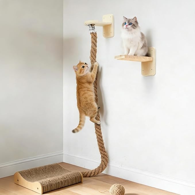 Wall Mounted Cat Tree with 2 x 59.1 Inch Jute Climbing Ropes, Solid Wood Cat Climbing Tower with Scratching Post, Rope Ladder, Jumping Platforms & Wall Steps Cat Playground