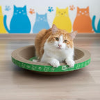 B Kitty Scratcher Cat Bed, Fun for Your Purr-FECT Feline (Round)