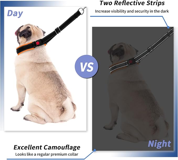 Martingale No Pull Dog Collar - Heavy Duty Nylon With Buckle, Adjustable Anti Pull Reflective Slip Collar for Large Medium Small Dog Training Walking L Orange