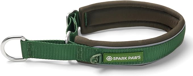 Spark Paws Martingale Dog Collar – Cushioned Slip-On Training Collar, Heavy Duty, Safety-Tested No-Buckle Collar for Medium & Large Dogs - Army Green - C