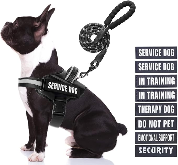 Service Dog Vest Harness and Leash Set, Animire in Training Dog Harness with 10 Dog Patches, Reflective Dog Leash with Soft Padded Handle for Small, Medium, Large, and Extra-Large Dogs (Black,M)
