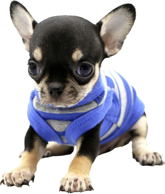 LOPHIPETS 100% Cotton Striped Dog Shirts for Small Dogs Chihuahua Puppy Clothes Tank Vest Tee-Blue and Gray Strips/XXS