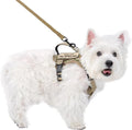 Tactical Dog Harness for Small Dog - Reflective Puppy Pet Vest No Pull Military Service Dog Vest with Vertical Handle XS Dog Harness for Outdoor Training