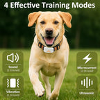 New Upgrade Training Shock Collar with 9.8FT Retractable Leash for Dog – 3200FT Remote E-Collar for Dogs, Color Screen Display, Beep Vibration Static, IP67 Waterproof, USB-C Rechargeable
